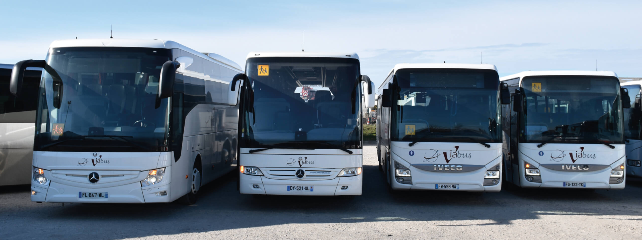 Autocars Viabus alignés de face